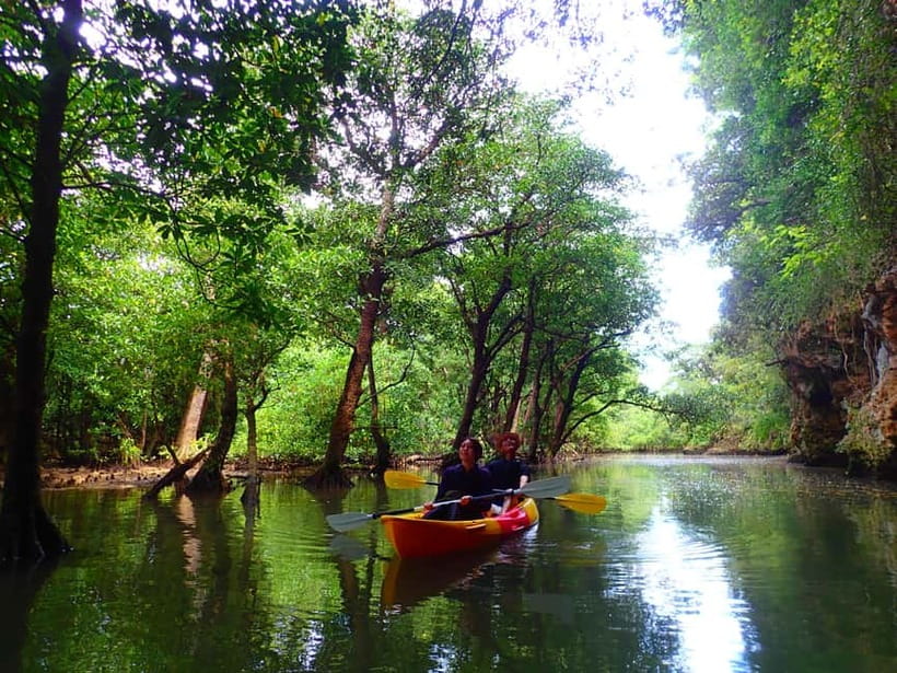 Ishigaki: Mangrove SUP or Canoe & Phantom Island Snorkeling - Two Ishigaki worlds in one six-hour day