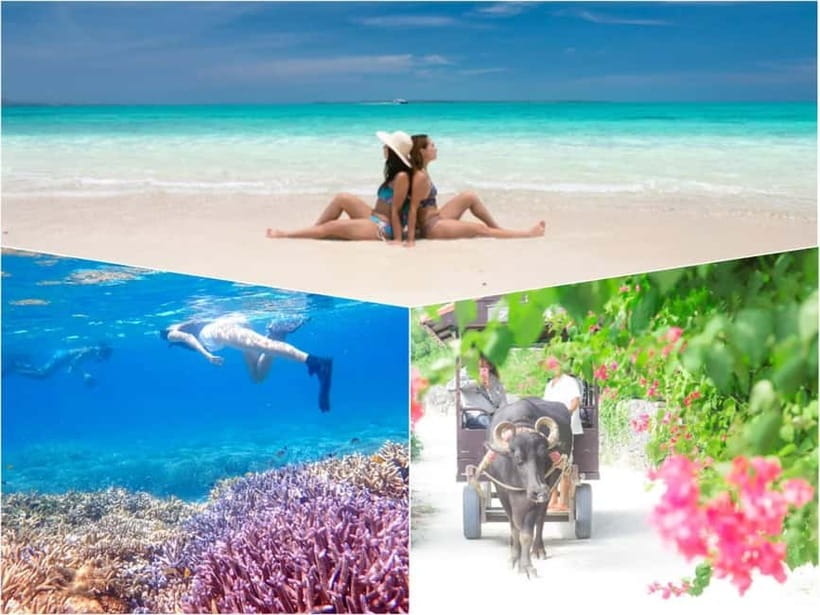 Ishigaki: Phantom Island Snorkeling and Taketomi Sightseeing - Hamajima, the sandbar that disappears