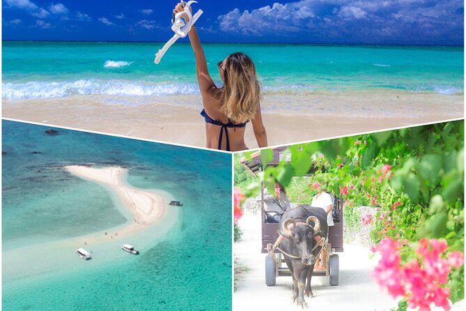 Ishigaki Phantom Island Snorkeling Taketomi Island Sightseeing - A sandbar that appears with the tide