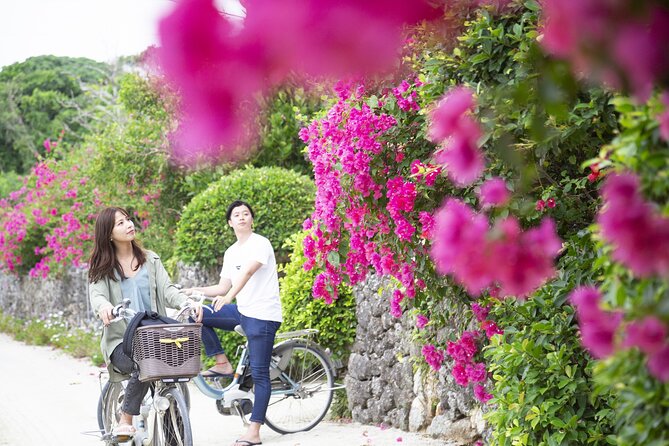 Ishigaki Phantom Island Snorkeling Taketomi Island Sightseeing - Is $64.37 a fair price?