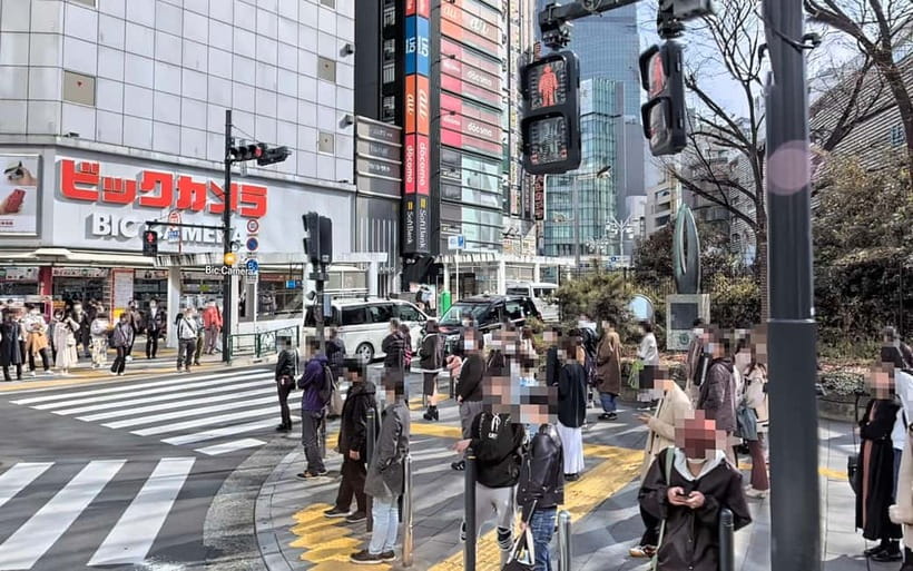 Kabukicho Macabre Tour - the Real Tokyo Vice - Key points to know before booking