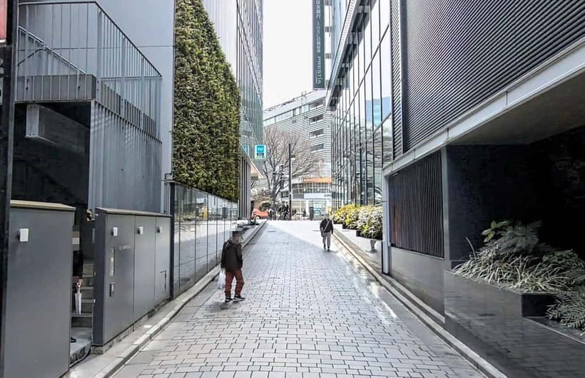 Kabukicho Macabre Tour - the Real Tokyo Vice - What this Kabukicho walk is really about