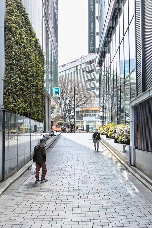 Kabukicho Macabre Tour - the Real Tokyo Vice - How much value you get for $56