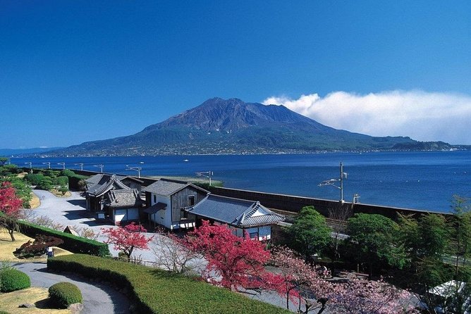 Kagoshima Full-Day Private Tour with Government-Licensed Guide - Key points at a glance