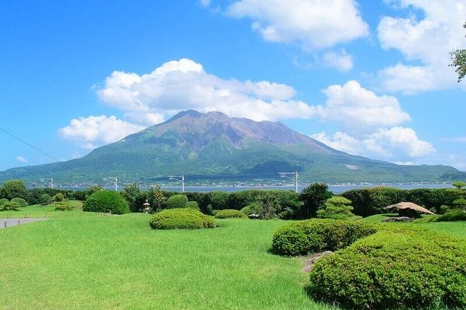 Kagoshima Full-Day Private Tour with Government-Licensed Guide - Shiroyama Park, castle ruins, and city views
