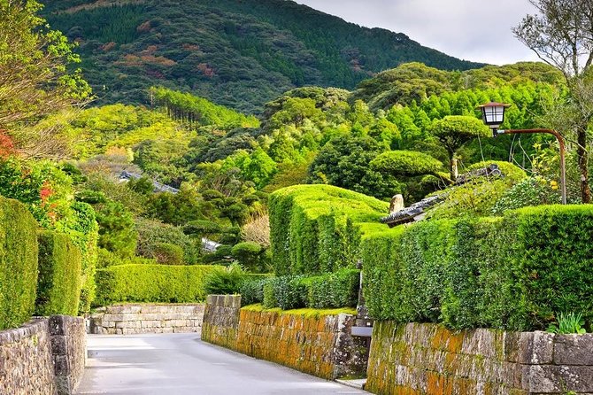 Kagoshima Full-Day Private Tour with Government-Licensed Guide - What the guides add to the day