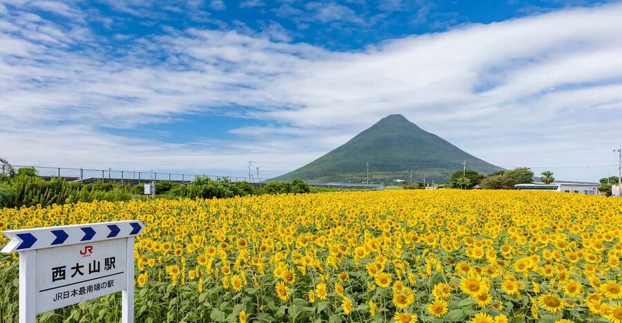 Kagoshima: Ibusuki City and Mount Kaimon Dake Tour - Lake Ikeda or Chirin Island for open views