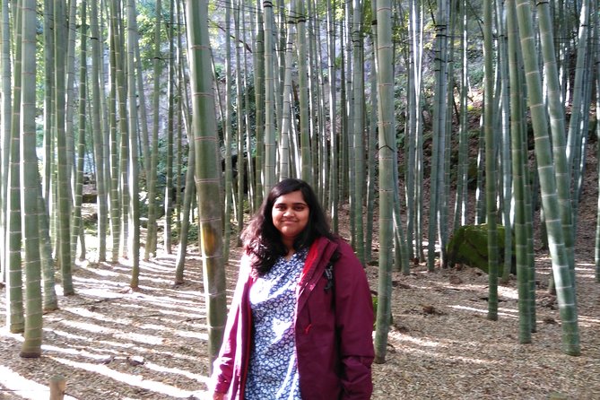 Kamakura 4hr Private Trip with Government-Licensed Guide - The Great Buddha at Kotoku-in