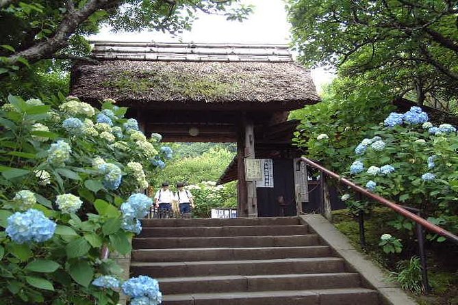 Kamakura 8 hr Private Walking Tour with Licensed Guide from Tokyo - Hiking trails and Enoshima choices