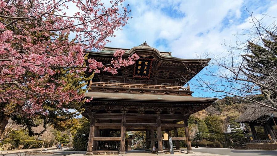 Kamakura: A Journey Through Medieval Japan - Tsurugaoka Hachimangu and the heart of Kamakura