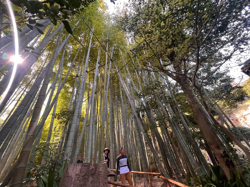Kamakura and Enoshima: Private Guided Day Tour with Vehicle - Why Kamakura and Enoshima work well together