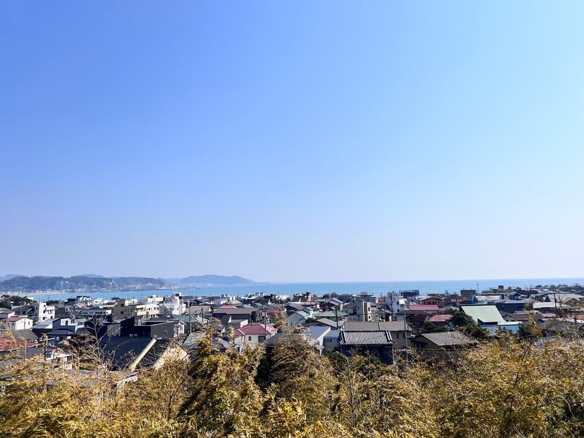 Kamakura and Enoshima: Private Guided Day Tour with Vehicle - Hase-dera’s gardens and Kannon statue