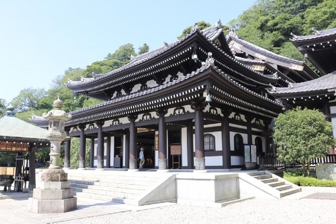 Kamakura Bamboo Forest and Great Buddha Private Tour - Hokoku-ji’s bamboo garden and matcha
