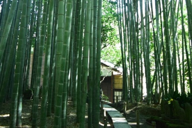 Kamakura Bamboo Forest and Great Buddha Private Tour - Komachi Street for a short local break