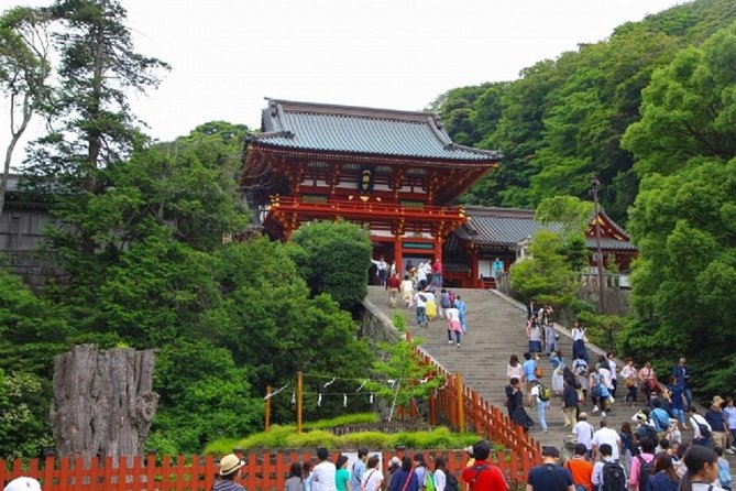 Kamakura Bamboo Forest and Great Buddha Private Tour - What the $176.37 price really buys