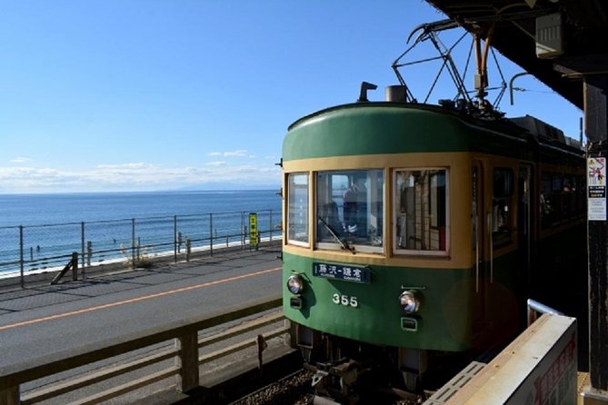 Kamakura Bamboo Forest and Great Buddha Private Tour - Hasedera Temple and the first hour