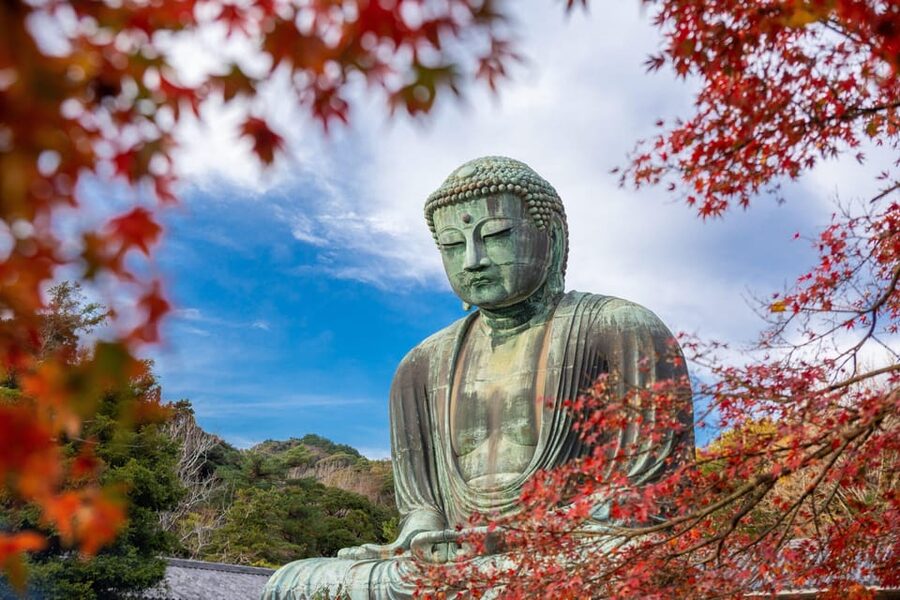 Kamakura Half Day Tour with a Local Expert Guide - Key points to know before booking