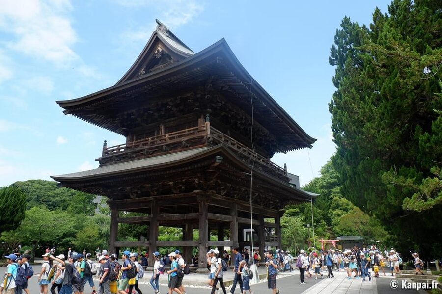 Kamakura Half Day Tour with a Local Expert Guide - Zen temples, gardens, and the quieter side of Kamakura