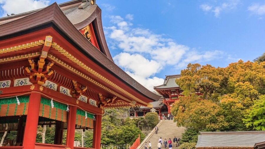 Kamakura Half Day Tour with a Local Expert Guide - What a private guide adds to the walk