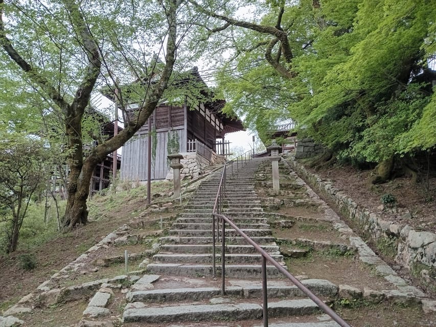 Kamakura Half Day Tour with a Local Expert Guide - Tokyo pickup or Kamakura meeting point?