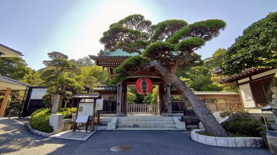 Kamakura Half Day Tour with a Local Expert Guide - Who will get the most from this Kamakura tour?