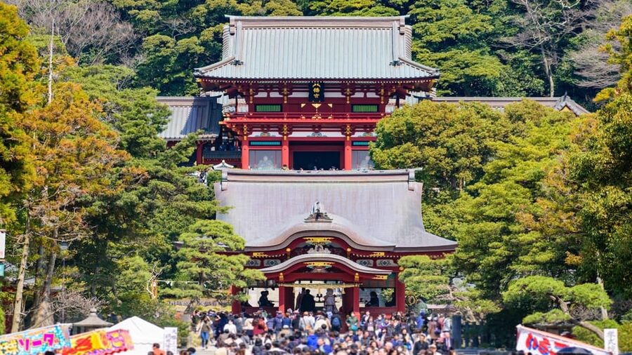 Kamakura Half Day Tour with a Local Expert Guide - Tsurugaoka Hachimangu Shrine and Kamakura’s historic center