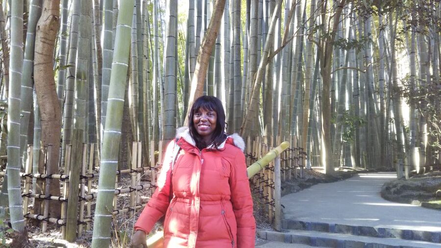 Kamakura: Private Guided Walking Tour with Local Guide - What the guides add to the day