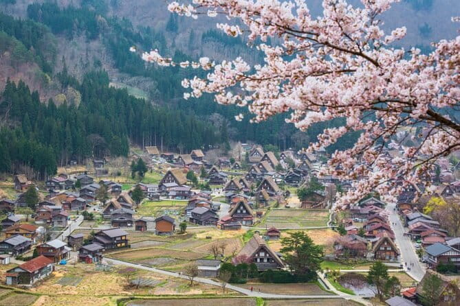 Kanazawa Half-day Tour: Curated: Gardens, Craft & Geisha District - Matcha in a former samurai residence