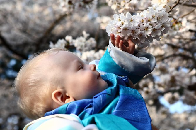 Kanazawa private 1 day/Photoshoot by professional photographer - Kenrokuen Garden: the day’s main scenic stop