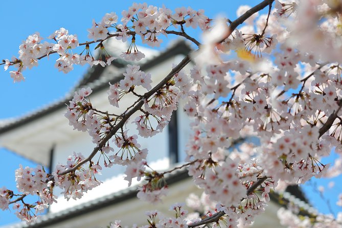 Kanazawa private half day/Photoshoot by professional photographer - Private transport and pickup details