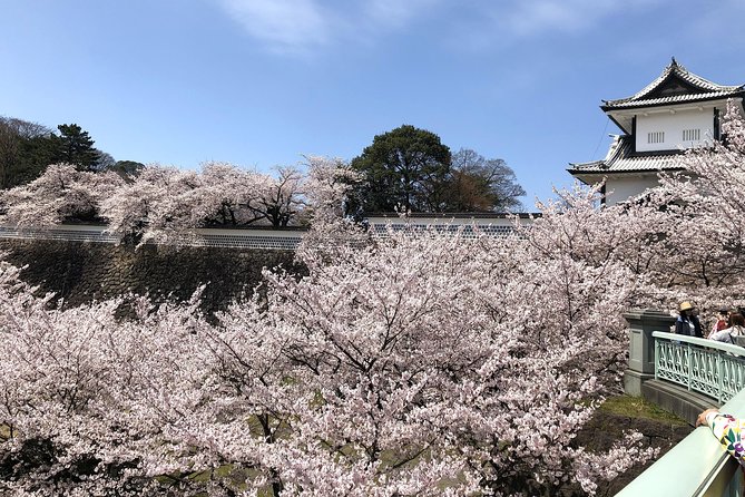 Kanazawa Private Tour: Highlights of an Old Samurai Town - The D.T. Suzuki Museum and a quieter side of Kanazawa