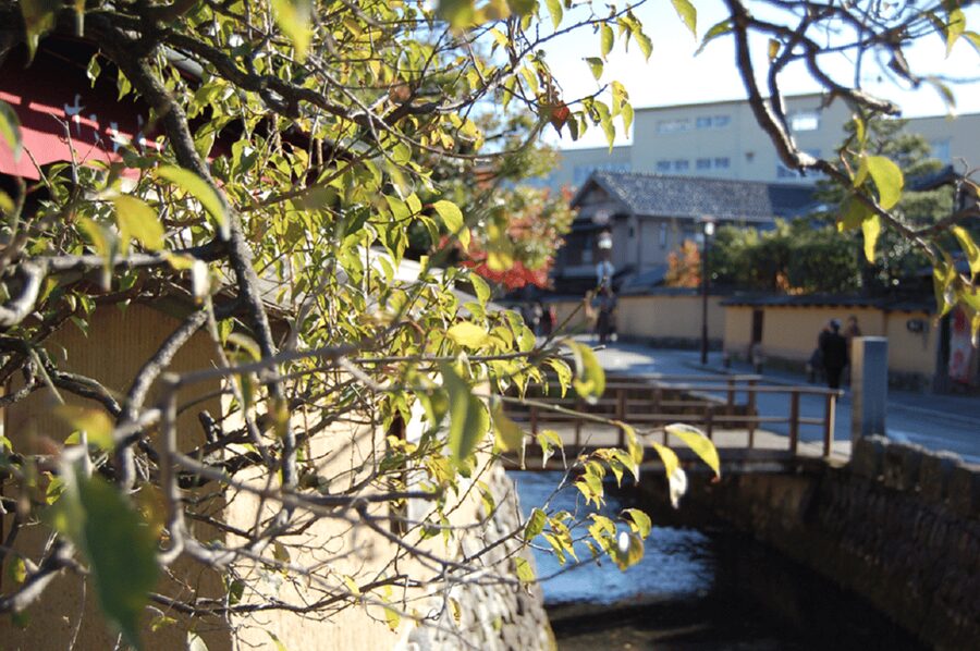 Kanazawa: Samurai Residence Remains Nomura Family admission - Traditional architecture rewards a slow pace