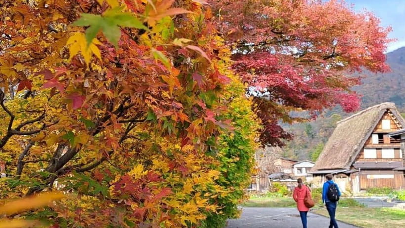 Kanazawa/Takayama: Shirakawago & Takayama Private Day Tour - Key points at a glance