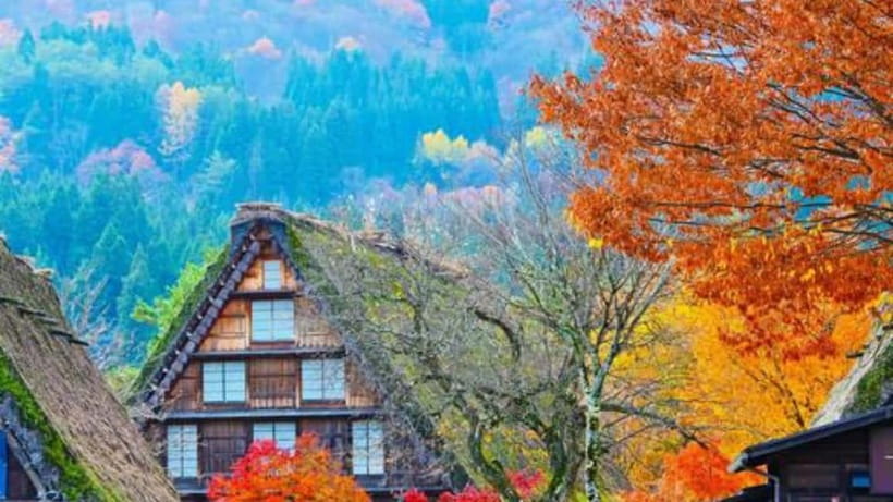 Kanazawa/Takayama: Shirakawago & Takayama Private Day Tour - Why this private route works so well