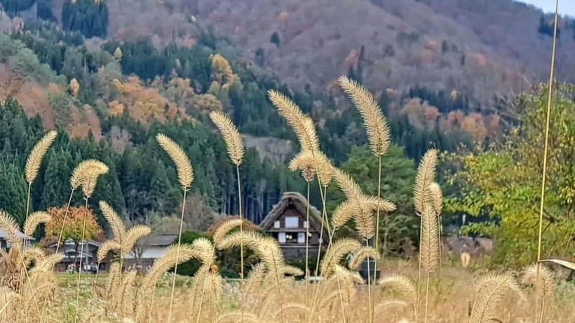 Kanazawa/Takayama: Shirakawago & Takayama Private Day Tour - Shirakawa-go: the day’s essential stop