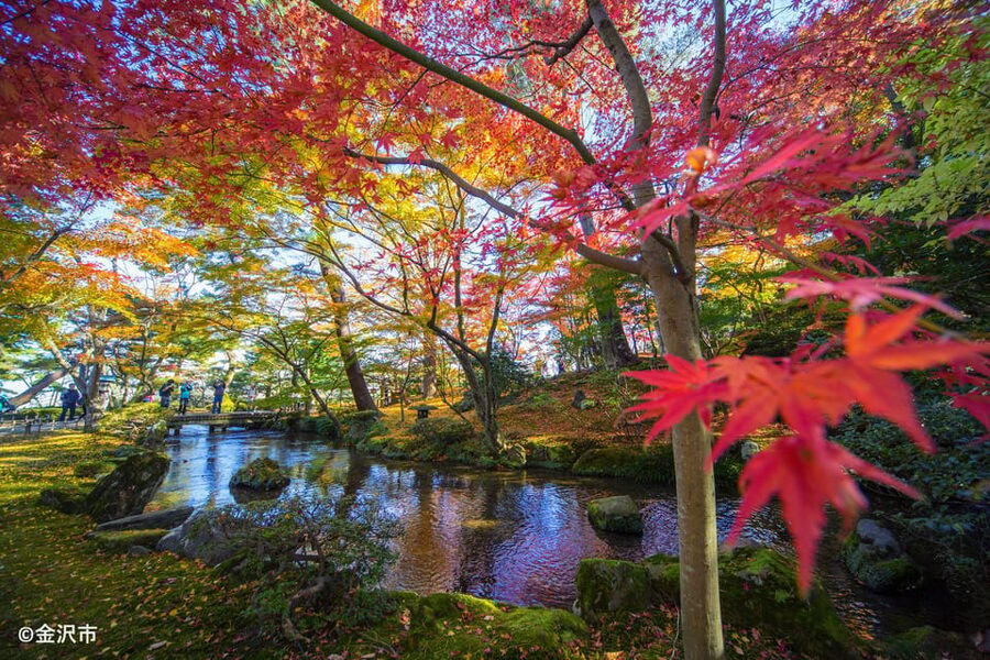 Kanazawa: World Heritage Shirakawa-go & Two Local Experience - FAQ