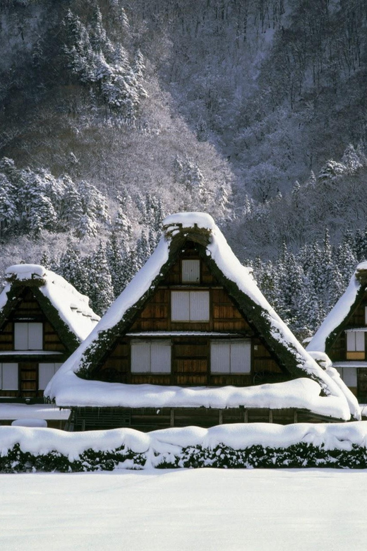 Kanazawa: World Heritage Shirakawa-go & Two Local Experience - What the guides add to the experience