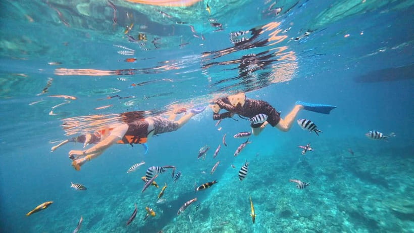 Kerama Half-Day Snorkeling Tour - Is $57 a Fair Price?