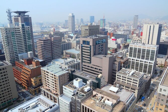 Kobe : Private Custom Tour (Excursion to Osaka / Kyoto possible) - A private Kobe day built around your interests