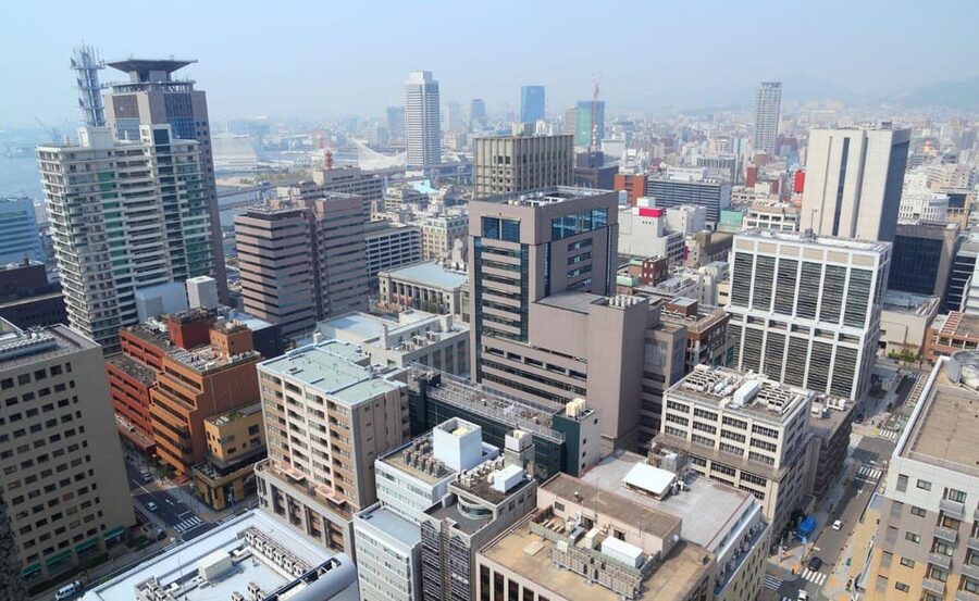 Kobe: Private Tour - Excursion to Osaka / Kyoto possible - Mount Rokko, gardens, and Kobe’s high views
