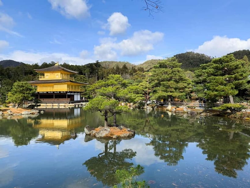 Kobe: Private Walking Shore Excursion- Kyoto/Osaka/Nara/Kobe - Nara: deer, Todaiji, and a long but rewarding day