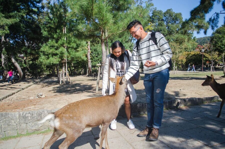 Kobe: Private Walking Shore Excursion- Kyoto/Osaka/Nara/Kobe - Kobe: the easiest option for a shorter rail day