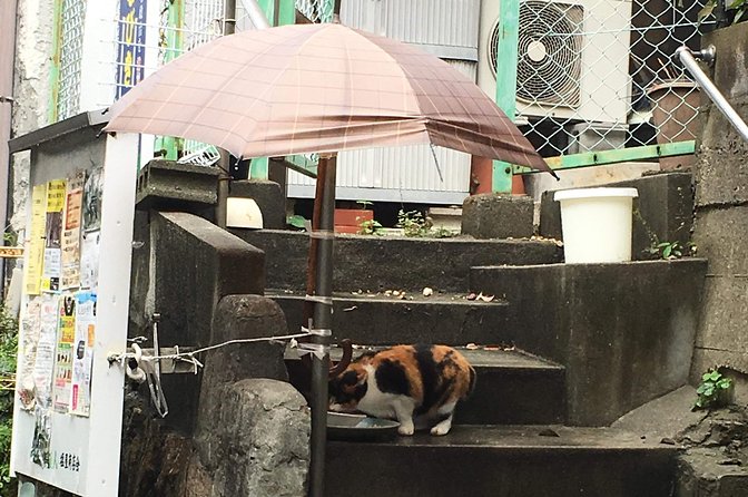 KOBE, SHIOYA, a quaint fishing town walking tour - Who will enjoy this walk most