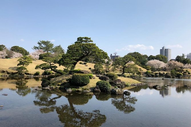 Kumamoto Full-Day Private Tour with Government-Licensed Guide - Contemporary Art Museum Kumamoto: a compact modern counterpoint