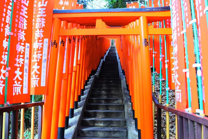 Kyoto 1 Day Golden Route Bus Tour - The walking, pace, and group size