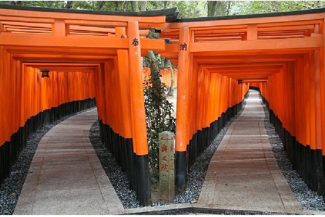 Kyoto 1 Day Tour from Kyoto - Kyoto Imperial Palace and its quiet formality