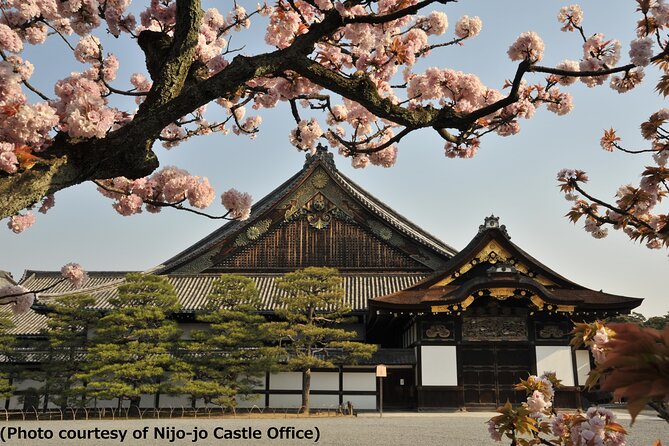 Kyoto 1 Day Tour from Osaka - Why this Kyoto day trip works from Osaka