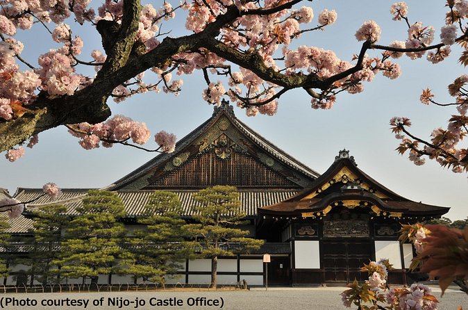 Kyoto 1 Day Tour from Osaka - Fushimi Inari requires more walking than the photographs suggest