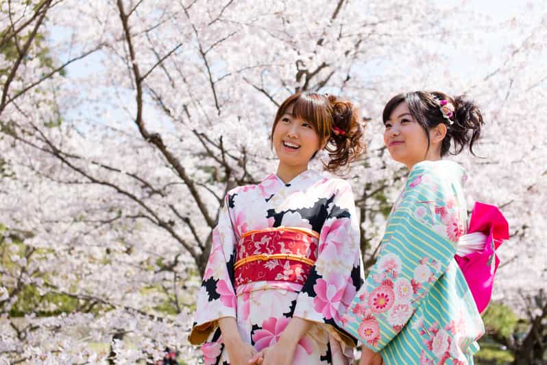 Kyoto: 1 Day Traditional Japanese Kimono Rental Experience - Key points to know before you book