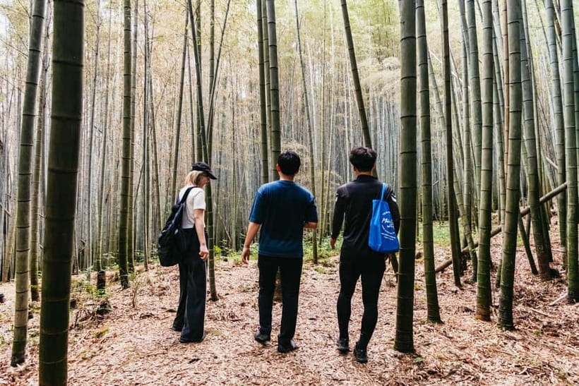 Kyoto: 3-Hour Fushimi Inari Shrine Hidden Hiking Tour - What the $72 price is buying you